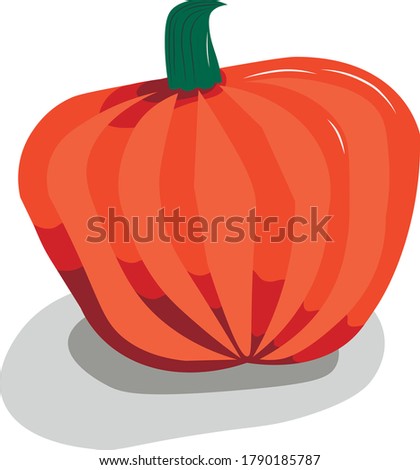 Round, slightly flattened pumpkin. Orange-red shades. 