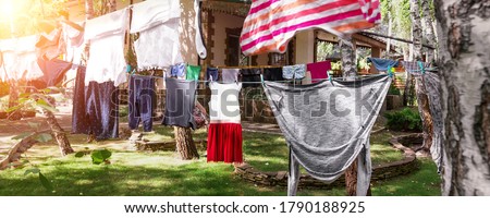 Domestic real life scene of many children and adult fresh clean washed clothes hanged on birch tree clothesline with pins. Home yard on bright sunny summer day outdoors. Lifestyle backyard garden