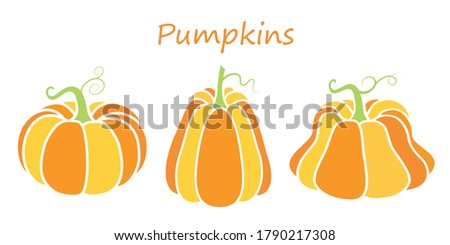 Bright illustration of pumpkins in a flat style. Cute vegetables are perfect for decorating autumn holidays, Halloween, healthy food, office supplies.