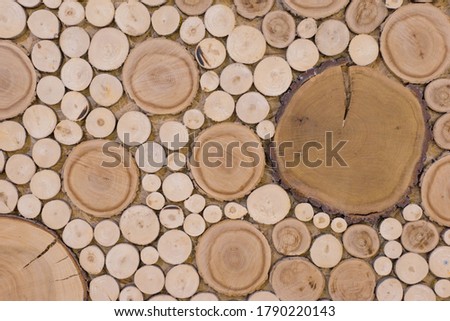 wood texture of a cut of a round tree on a cut, various caliber. Background, wall, wallpapers for desktop, blank, pattern, copy space