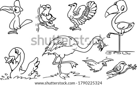 vector drawing cartoon birds set