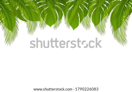 Vector exotic tropical summer frame border with palm leaves and jungle leaf. Invitation design element for Wedding marriage event and Hawaiian party with green tropical leaves