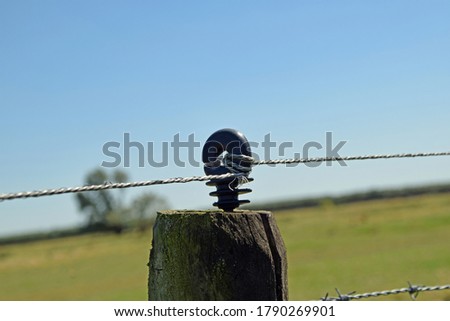 electric fence around the meadow