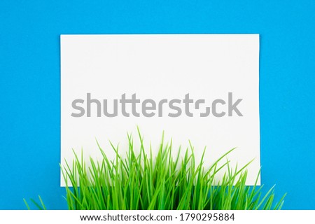 flat lay white leaf on blue background with green grass