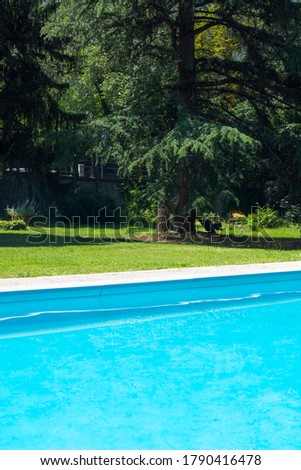 View of various materials by a pool. Blue and dark blue water, a concrete edge, paving slabs, green lawn. A tree in the background. Old garden. 60s.