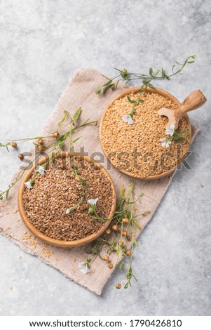 Brown linen seeds, light  flaxseed and flax flowers on gray background. Copy space