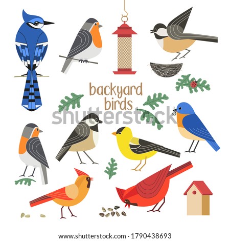 Birdwatching icon vector set. Red Northern cardinal, robin chickadee, blue bird, goldfinch comic flat cartoon illustration. Garden backyard birds sign. Minimal simple design. Wildlife banner element