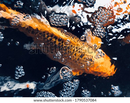 Golden carp swim in the water filled with bubbles