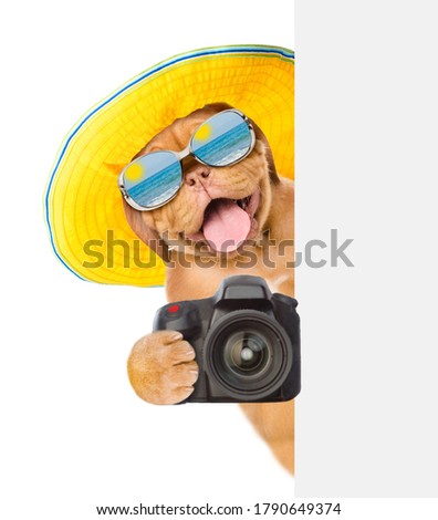 Dog wearing mirrored sunglasses and summer hat holds camera and looks from behind empty white banner. isolated on white background