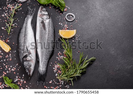 Fresh fish seabass and ingredients for cooking. Raw fish seabass with spices and herbs on a dark table