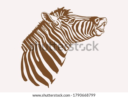 Vector vintage illustration of zebra portrait , sepia background, savanna animal