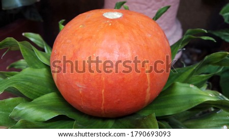 Pumpkin or Labu. A pumpkin is a cultivar of winter squash that is round with smooth, slightly ribbed skin, and most often deep yellow to orange in coloration.
