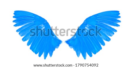 
Gold wing of birds on white background
