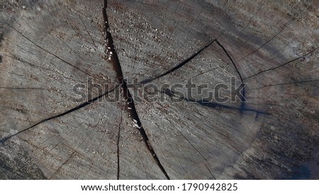 Natural wood texture background Old wood grain
