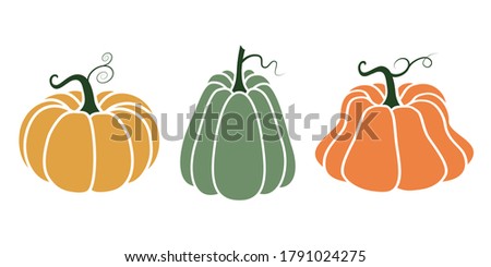 Bright illustration of pumpkins in a flat style. Cute vegetables are perfect for decorating autumn holidays, Halloween, healthy food, office supplies.