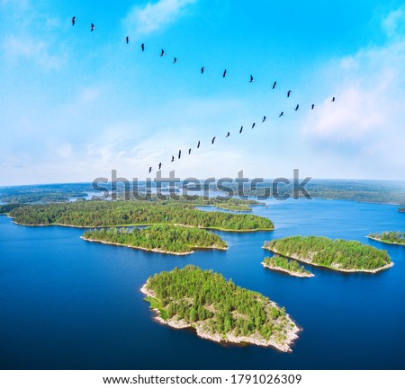 flock of migrating. Birds over beautiful blue lake with islands Royalty-Free Stock Photo #1791026309