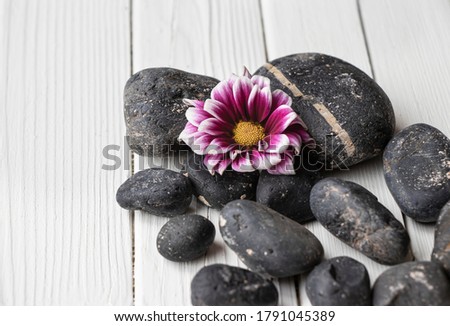 Black rocks with purple flower on white wood background.