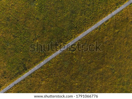 Aerial Top down look to long path between fields at sunny morning