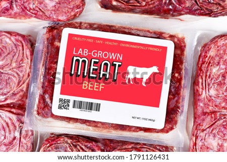 Lab grown cultured meat concept for artificial in vitro cell culture meat production with frozen packed raw meat with made up label Royalty-Free Stock Photo #1791126431
