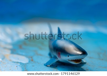 concept of imagining a great white shark in a pool