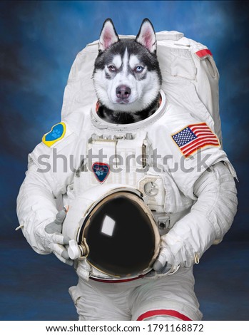studio shot of a dog on an isolated background with edited images furnished by NASA 