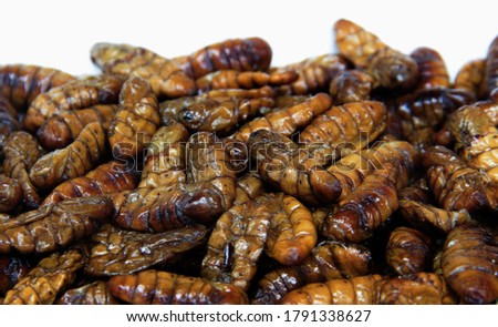 close up fried silk bug worm to protine snack food on white backgrond