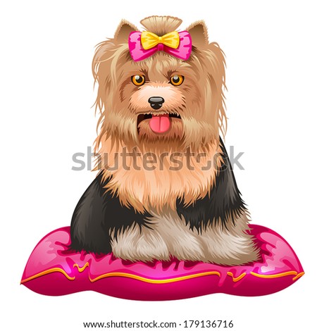 vector illustration of little Yorkshire Terrier sitting on pillow