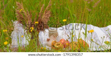 rustic picnic in the meadow