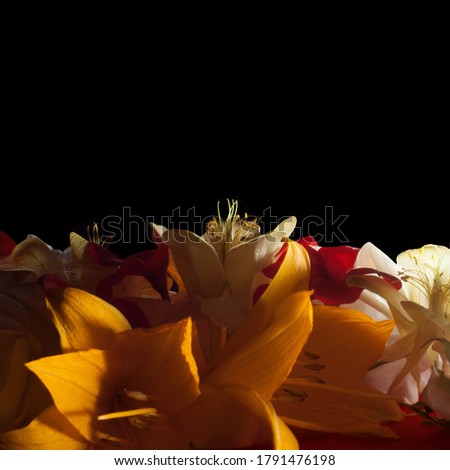 Beautiful gloomy dramatic photo still life with flowers of lilies, catchment, roses and geraniums in red, yellow and white