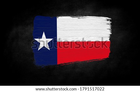 smear of paint in the form of the flag of State of Texas close-up on a black background