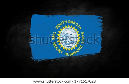 smear of paint in the form of the flag of State of South Dakota close-up on a black background