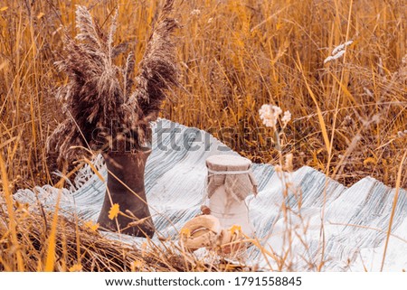 rustic picnic in autumn meadow