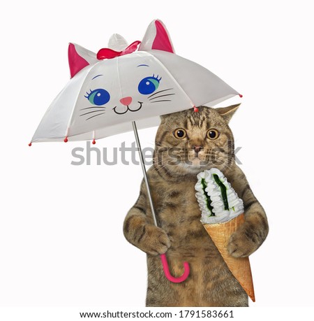 The beige big eyed cat with a cone of ice cream is walking under a funny umbrella. White background. Isolated.