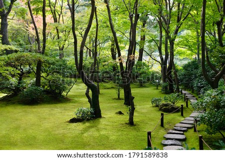 Photo of Path in Japanese garden