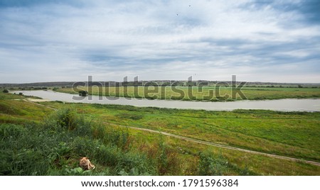 Landscape river in bright summer field on a cloudy day