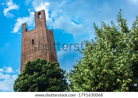 Rovigo's historical tower in Italy with trees and blue sky