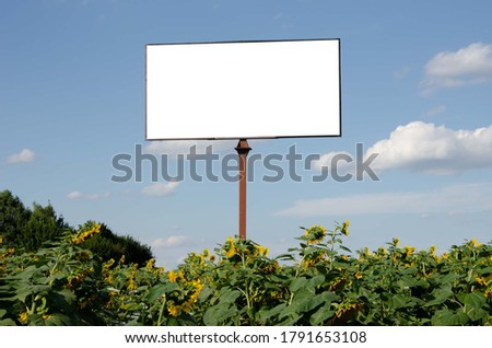 Billboard sunflower field. Field sky white stand for inscription background.