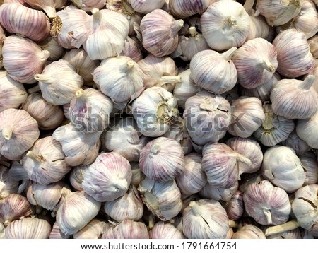 garlic on the counter of a health food store. High quality photo