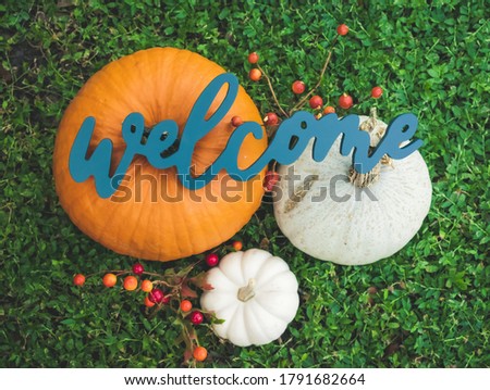 Blue welcome sign in a group of three pumpkins, one pumpkin is large and orange, the two smaller pumpkins are white all with sprigs of fall berries set upon green grass. 