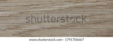 Close-up of grey wood texture background. Surface of table or floor. Old natural pattern. Design or decoration. Wood planks. Unique stamping. Material for renovation