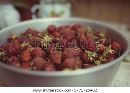 young fresh strawberries collected on a garden plot on a summer day. strawberry harvest in an iron plate. concept: berries that grow in the garden. desktop image in retro processing