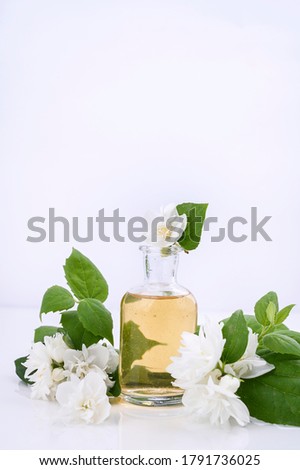 Jasmine oil. Aromatherapy and massage product, alternative medicine. Flowers and a bottle with oil on a white background. High quality photo. Copy space