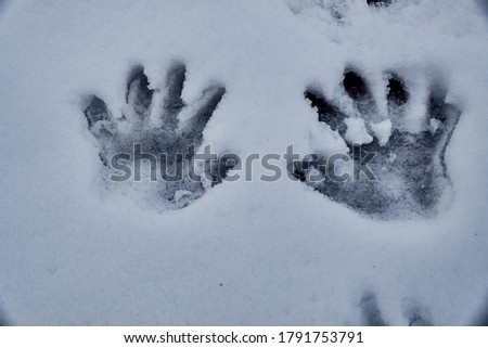 A closeup shot of snowy handprints