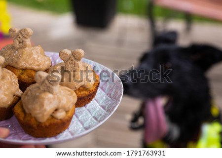 Cupcakes for dog party, 'pupcakes' with peanut butter icing and a treat Royalty-Free Stock Photo #1791763931