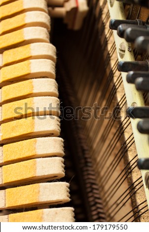 Piano strings and hammers. 