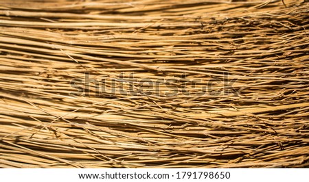 Hay broom straws texture horizontal