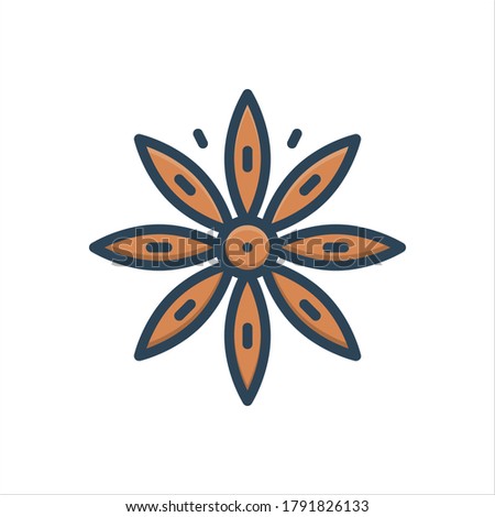 Vector colorful illustration icon for star anise