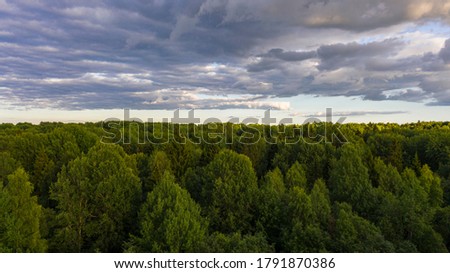 
summer evening drone shot of a forest massif on the horizon during sunset