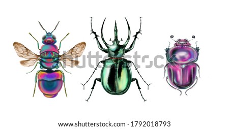 Best trendy illustration set of bugs