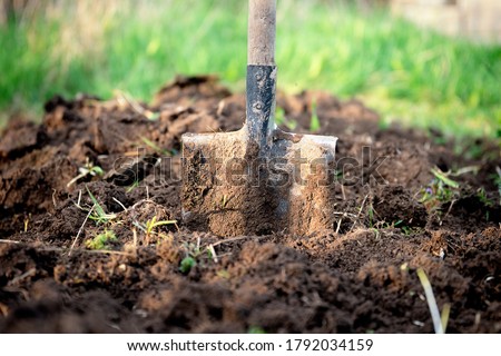 Old dirty shovel stuck in the ground on the garden bed. Gardening tool and equipment. Concept of a garden work at summer or spring. Front view Royalty-Free Stock Photo #1792034159